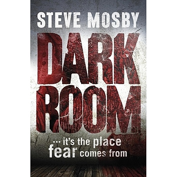 Dark Room, Steve Mosby