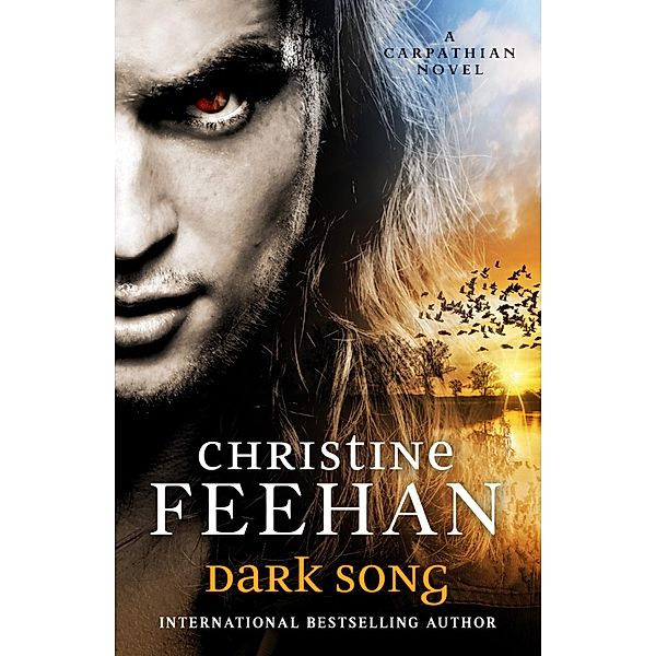 Dark Song / Dark Carpathian Bd.34, Christine Feehan