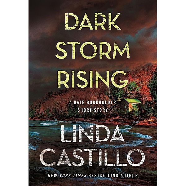 Dark Storm Rising, Linda Castillo