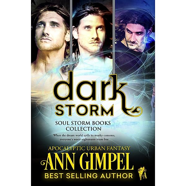 Dark Storm, Soul Storm Books Collection, Ann Gimpel