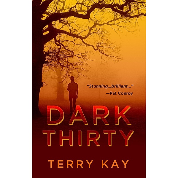 Dark Thirty, Terry Kay