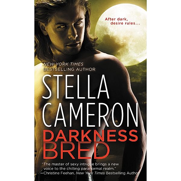 Darkness Bred / Chimney Rock Bd.2, Stella Cameron