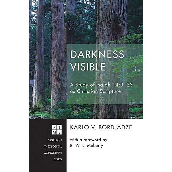 Darkness Visible / Princeton Theological Monograph Series Bd.228, Karlo V. Bordjadze