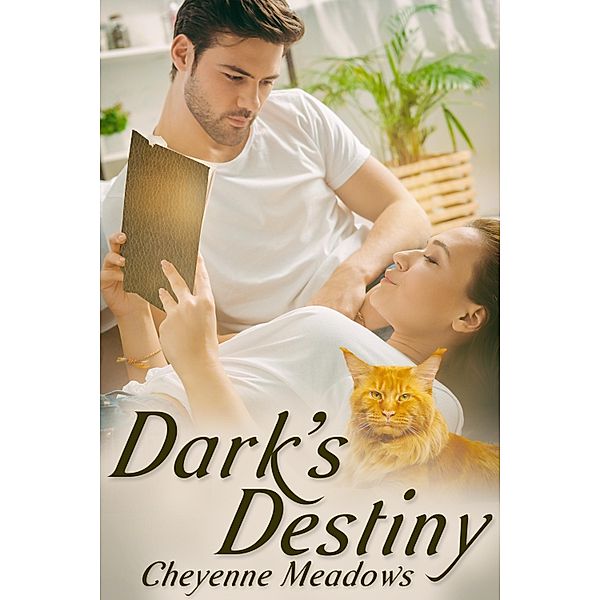 Dark's Destiny, Cheyenne Meadows