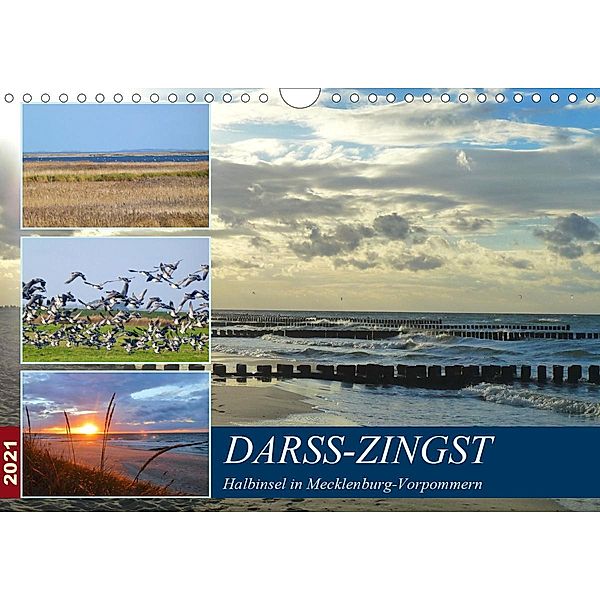 DARSS-ZINGST Halbinsel in Mecklenburg Vorpommern (Wandkalender 2021 DIN A4 quer), Claudia Schimmack