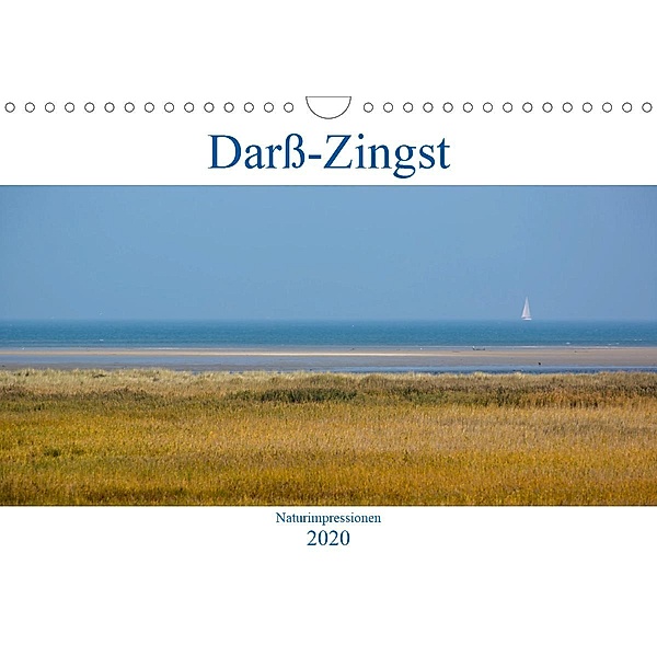 Darß-Zingst Naturimpressionen (Wandkalender 2020 DIN A4 quer)