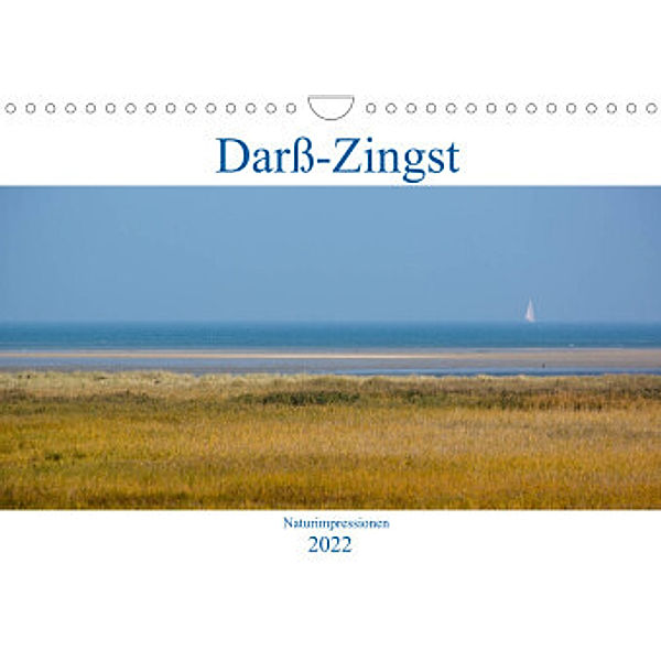 Darß-Zingst Naturimpressionen (Wandkalender 2022 DIN A4 quer), Akrema-Photography