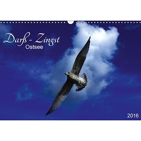 Darß-Zingst Ostsee (Wandkalender 2016 DIN A3 quer), Annette Kinz