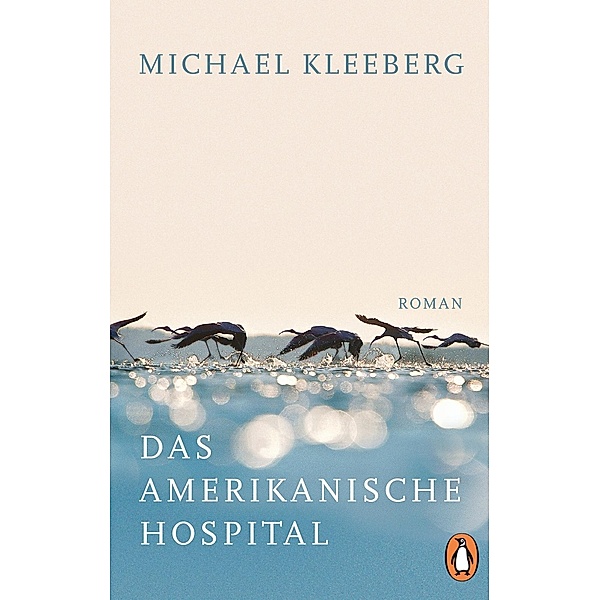 Das amerikanische Hospital, Michael Kleeberg