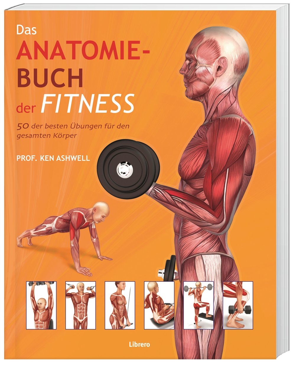 Das Anatomie-Buch der Fitness 50 der besten Übungen für den gesamten Körper 