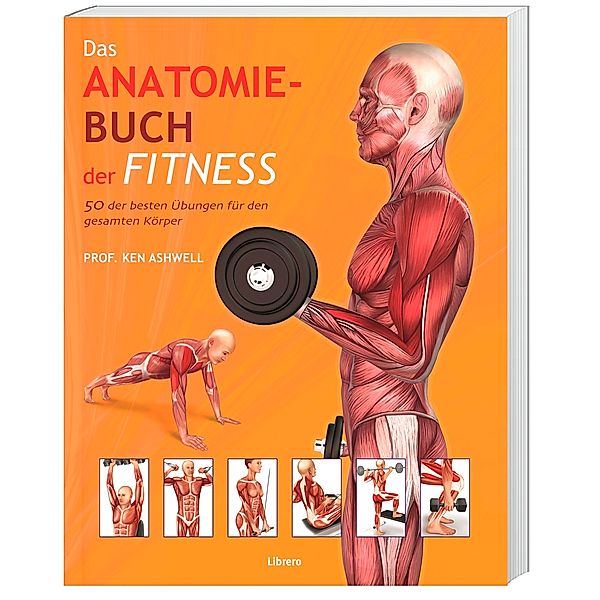 Das Anatomie-Buch der Fitness, Ken Ashwell