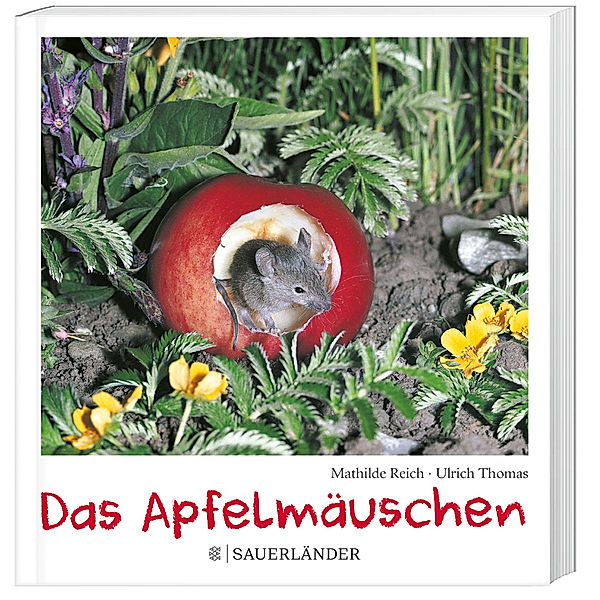 Das Apfelmäuschen (Pappbilderbuch), Mathilde Reich