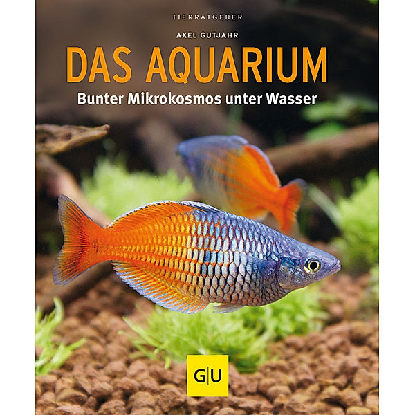 Das Aquarium, Axel Gutjahr