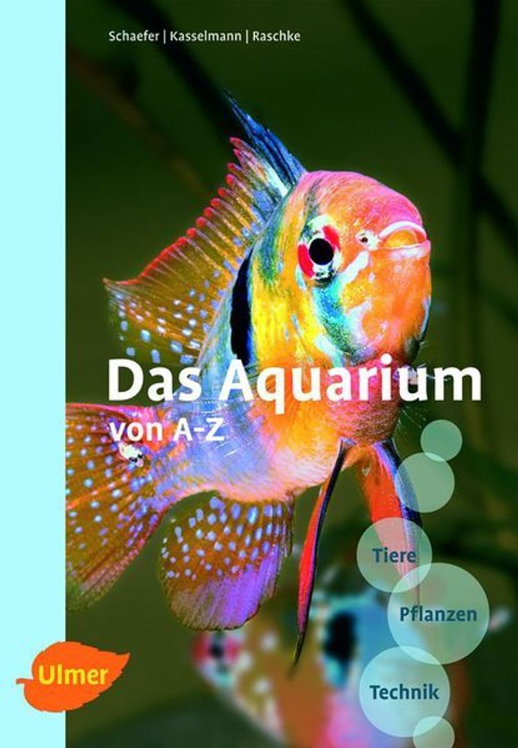 Das Aquarium von A-Z . Buch versandkostenfrei bei Weltbild.ch bestellen