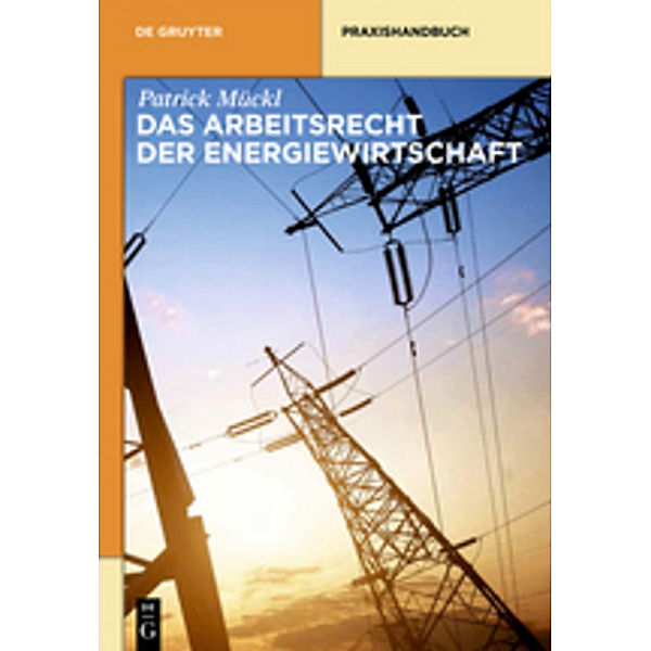 Das Arbeitsrecht der Energiewirtschaft, Patrick Mückl