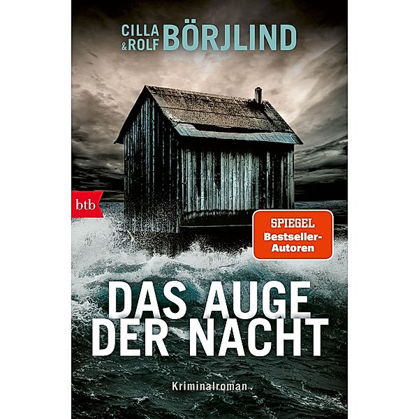 Das Auge der Nacht / Die Rönning/Stilton-Serie Bd.8, Cilla Börjlind, Rolf Börjlind