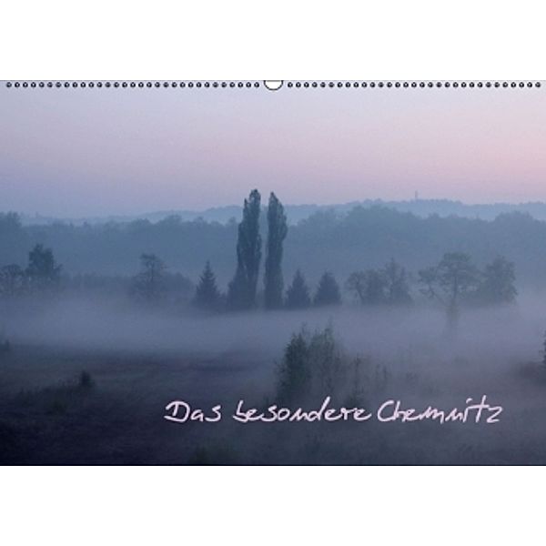 Das besondere Chemnitz (Wandkalender 2016 DIN A2 quer), Heike Hultsch