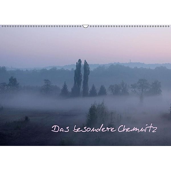 Das besondere Chemnitz (Wandkalender 2017 DIN A2 quer), Heike Hultsch