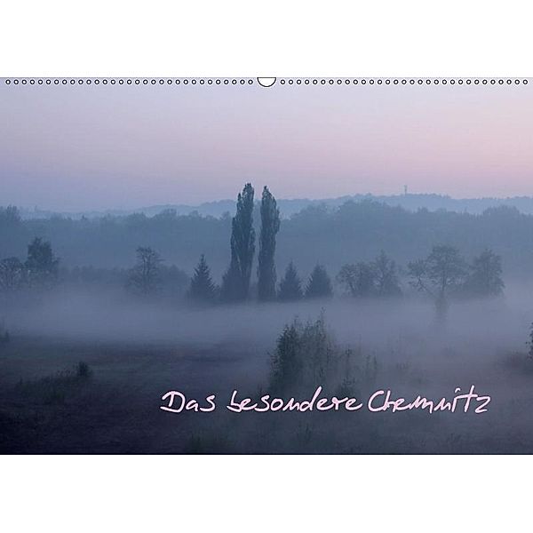 Das besondere Chemnitz (Wandkalender 2019 DIN A2 quer), Heike Hultsch