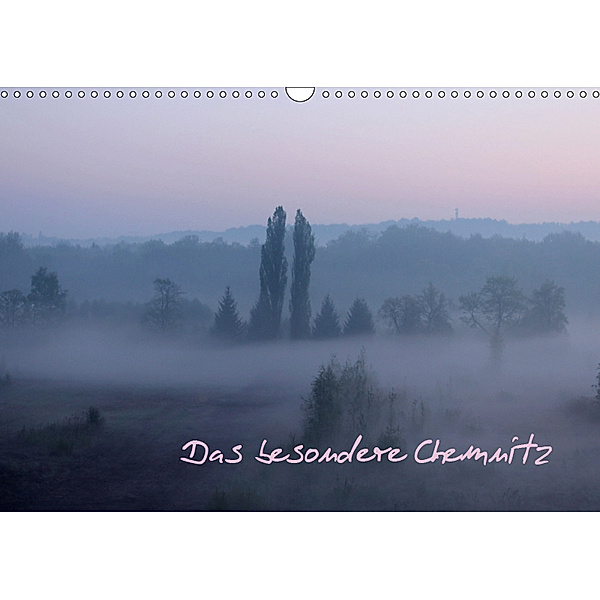 Das besondere Chemnitz (Wandkalender 2019 DIN A3 quer), Heike Hultsch