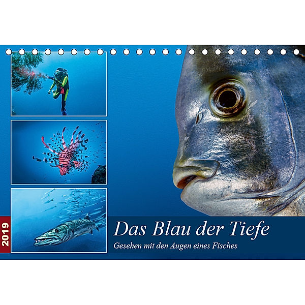 Das Blau der Tiefe (Tischkalender 2019 DIN A5 quer), Dieter Gödecke