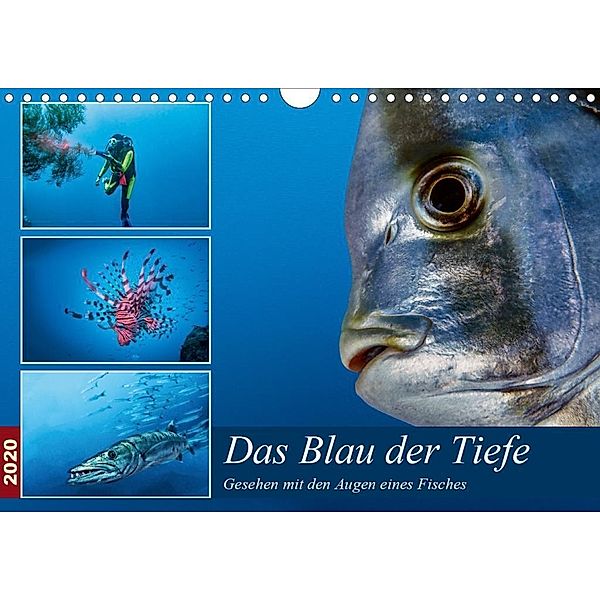 Das Blau der Tiefe (Wandkalender 2020 DIN A4 quer), Dieter Gödecke
