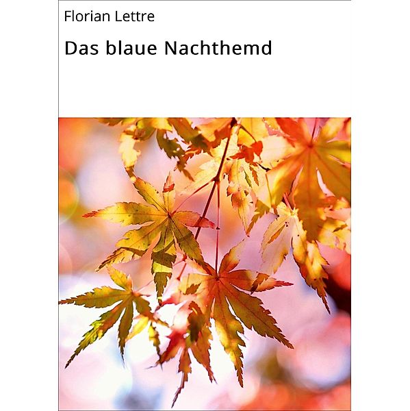 Das blaue Nachthemd, Florian Lettre