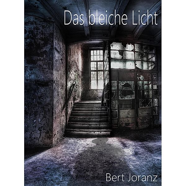 Das bleiche Licht, Bert Joranz