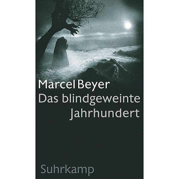 Das blindgeweinte Jahrhundert, Marcel Beyer