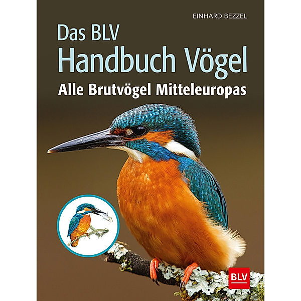 Das BLV Handbuch Vögel, Einhard Bezzel