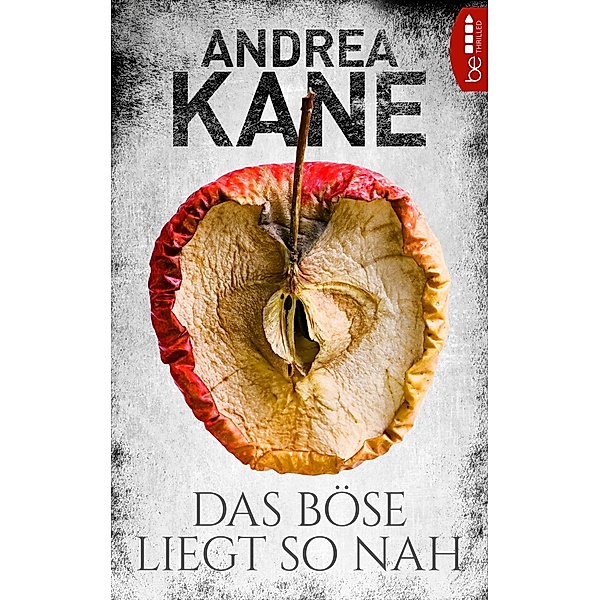 Das Böse liegt so nah / Romantic Suspense der Bestseller-Autorin Andrea Kane Bd.4, Andrea Kane