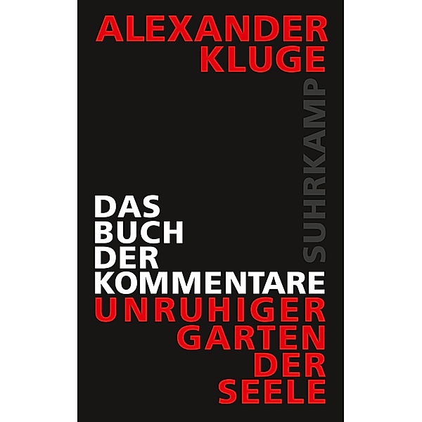 Das Buch der Kommentare, Alexander Kluge