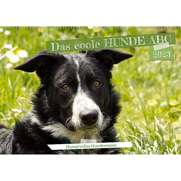 Das coole Hunde ABC (Wandkalender 2023 DIN A2 quer), Sabine Löwer