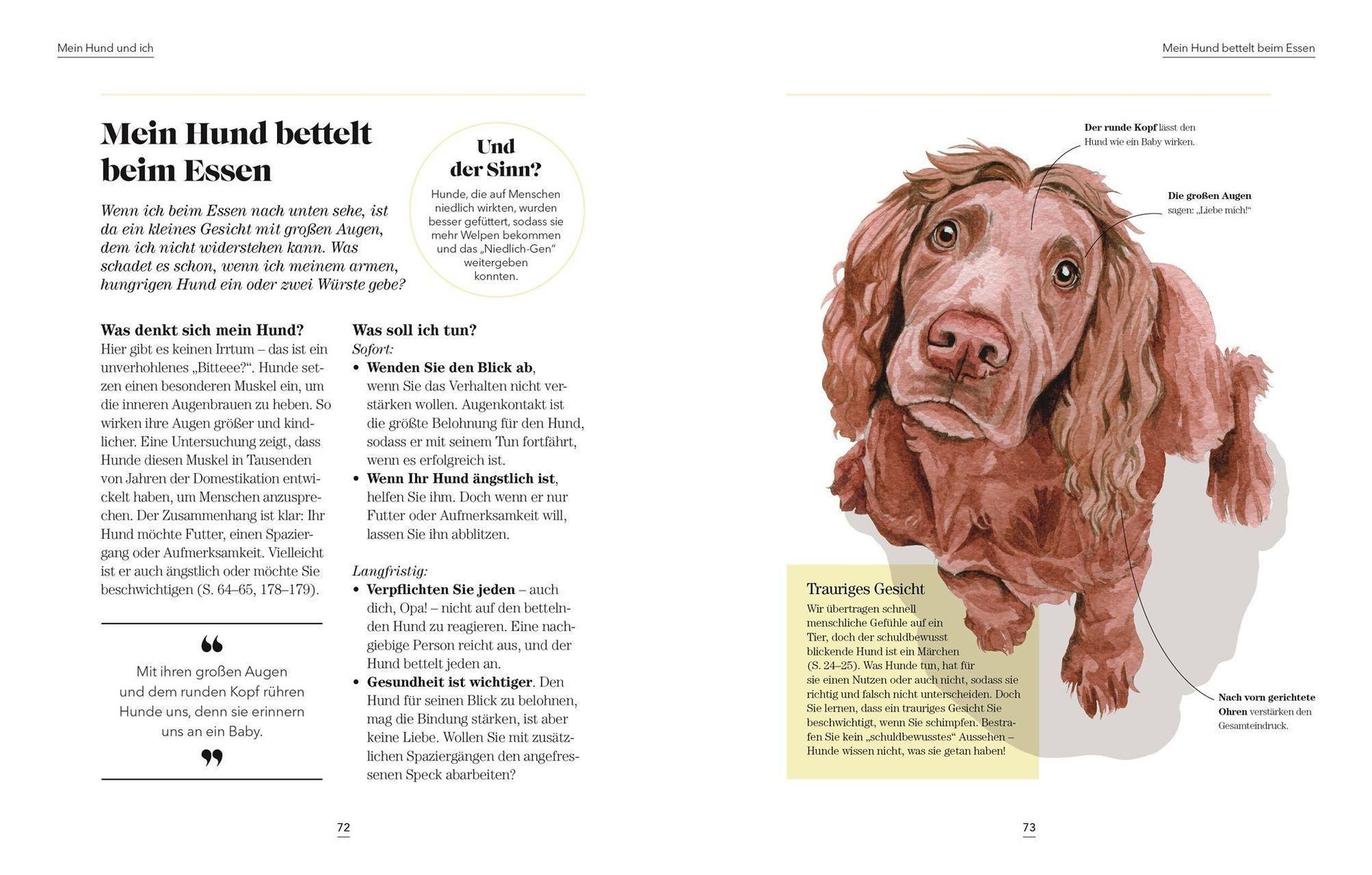 Das denkt dein Hund Buch von Hannah Molloy versandkostenfrei - Weltbild.de