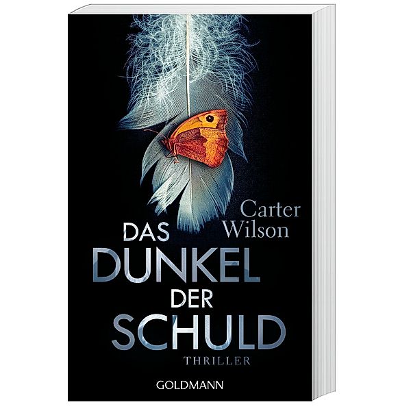 Das Dunkel der Schuld, Carter Wilson