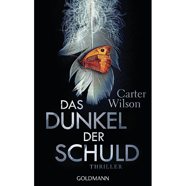 Das Dunkel der Schuld, Carter Wilson