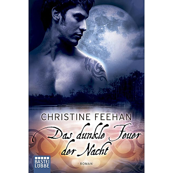 Das dunkle Feuer der Nacht / Dark Carpathians Bd.18, Christine Feehan