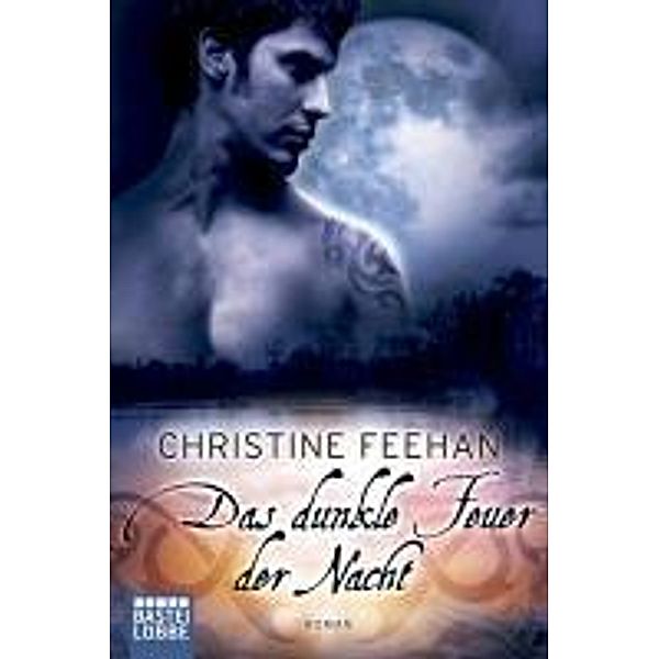 Das dunkle Feuer der Nacht / Dark Carpathians Bd.18, Christine Feehan