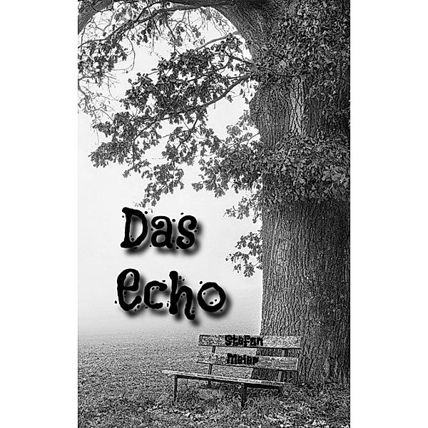 Das Echo, Stefan Meier