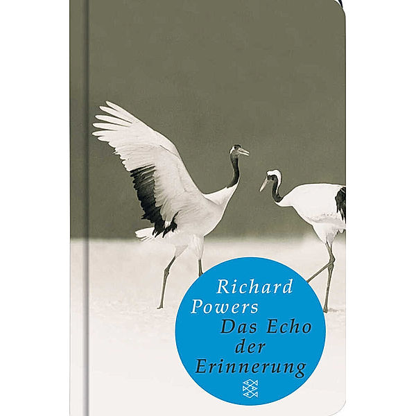 Das Echo der Erinnerung, Richard Powers