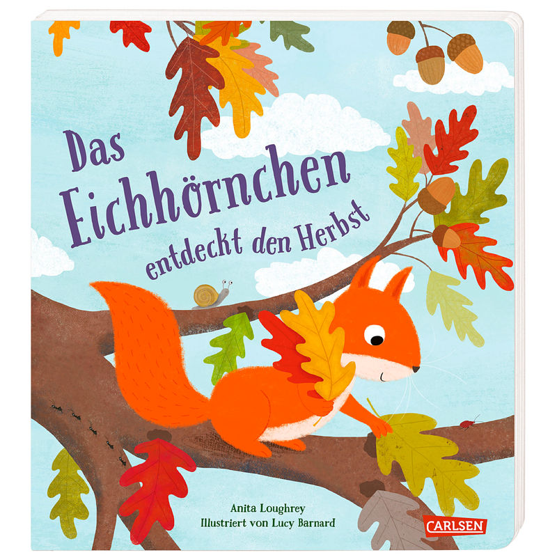 Das Eichhörnchen entdeckt den Herbst