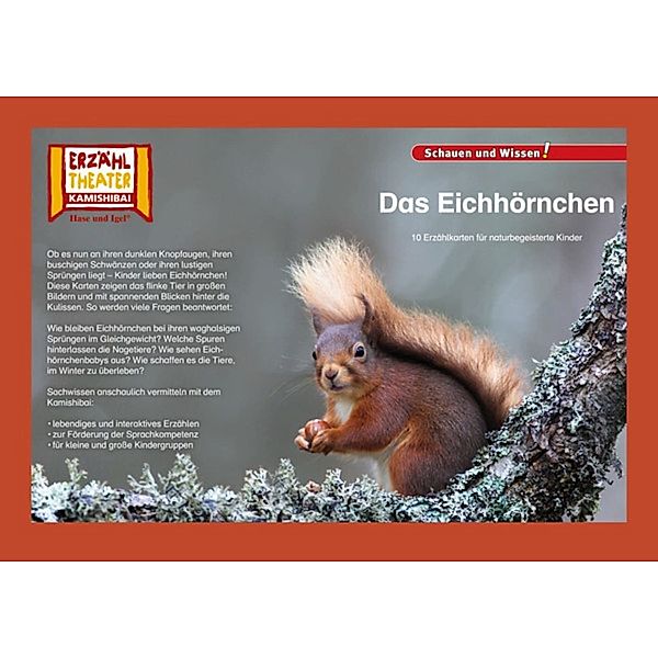 Das Eichhörnchen / Kamishibai Bildkarten, Insa Janssen