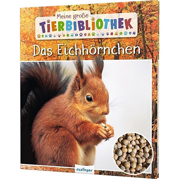 Das Eichhörnchen / Meine grosse Tierbibliothek Bd.20, Stéphanie Ledu-Frattini