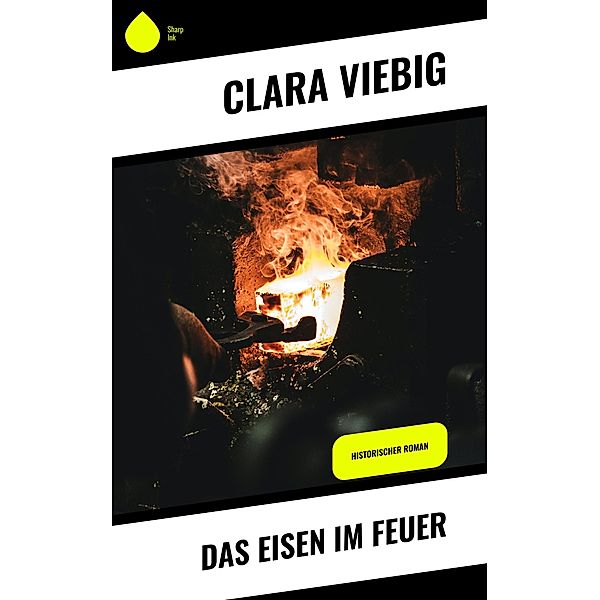 Das Eisen im Feuer, Clara Viebig