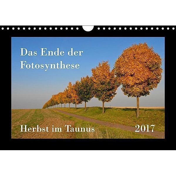 Das Ende der Fotosynthese - Herbst im Taunus (Wandkalender 2018 DIN A4 quer), Gerhard Bomhoff