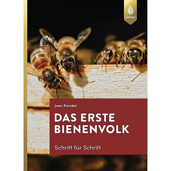 Das erste Bienenvolk - Schritt für Schritt, Jean Riondet