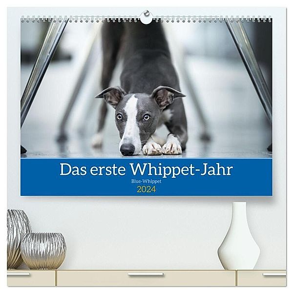 Das erste Whippet-Jahr (hochwertiger Premium Wandkalender 2024 DIN A2 quer), Kunstdruck in Hochglanz, Nicola Kassat Fotografie