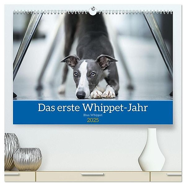 Das erste Whippet-Jahr (hochwertiger Premium Wandkalender 2025 DIN A2 quer), Kunstdruck in Hochglanz, Calvendo, Nicola Kassat Fotografie