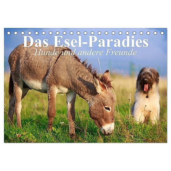 Das Esel-Paradies - Hunde und andere Feunde (Tischkalender 2024 DIN A5 quer), CALVENDO Monatskalender, Elisabeth Stanzer