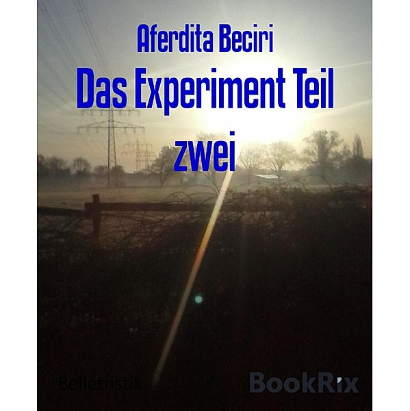 Das Experiment Teil zwei, Aferdita Beciri